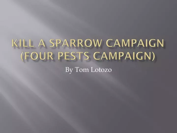 kill a sparrow campaign four pests campaign