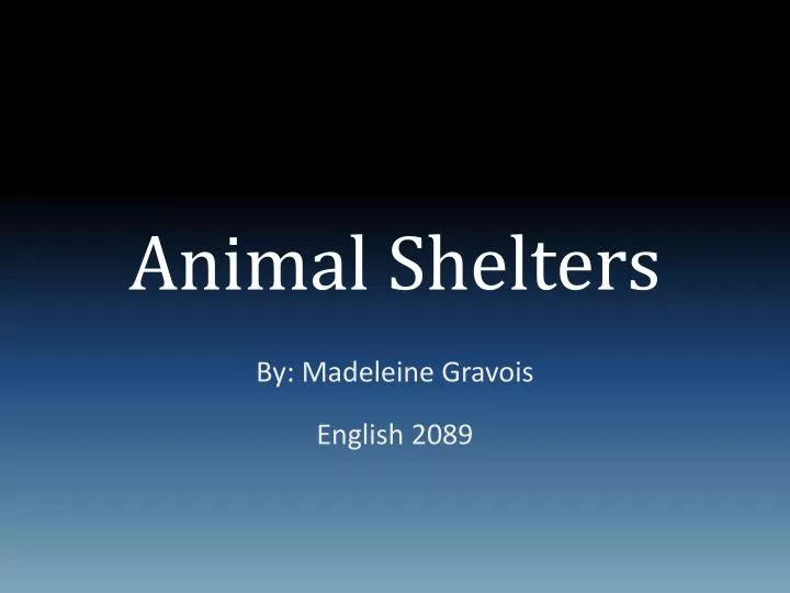animal shelters