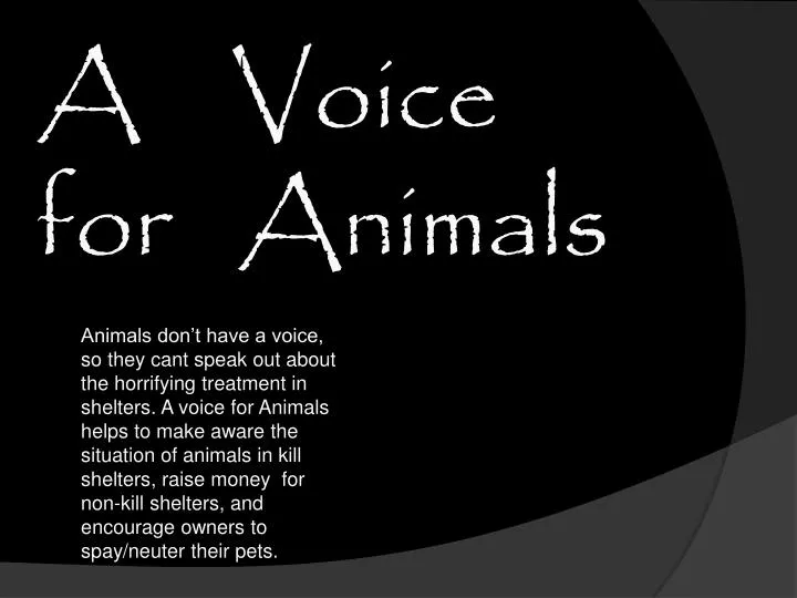 a voice for animals