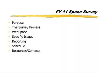 FY 11 Space Survey