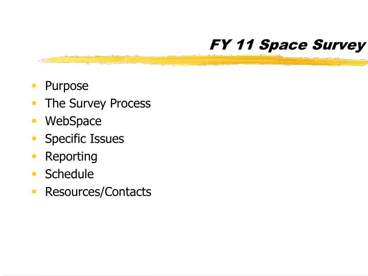 fy 11 space survey