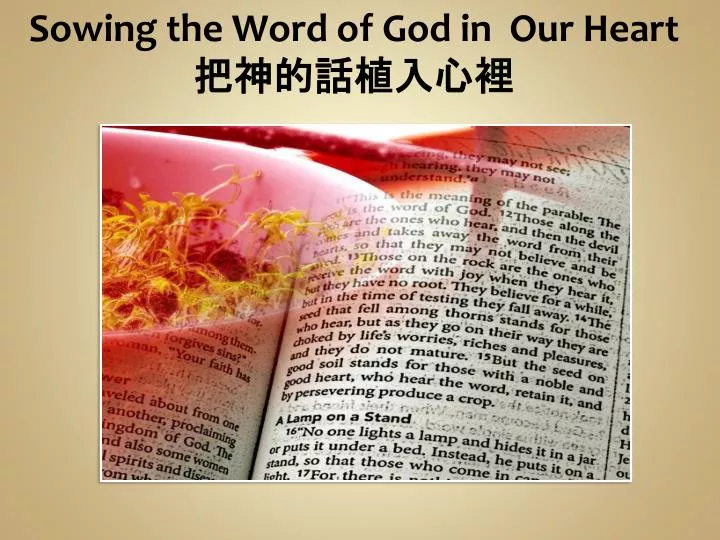 sowing the word of god in our heart