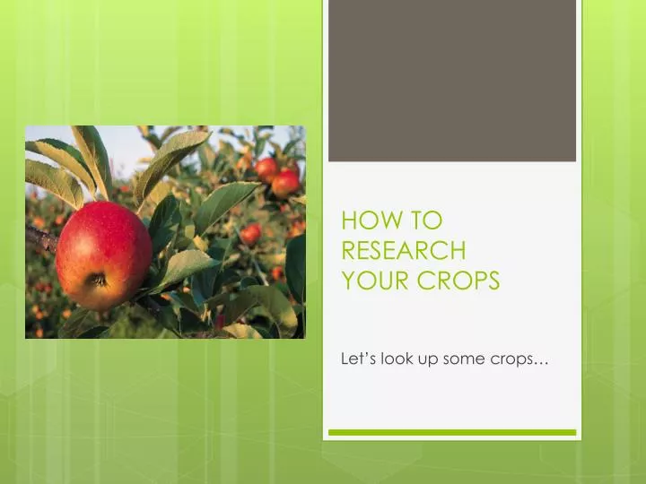 how to research your crops
