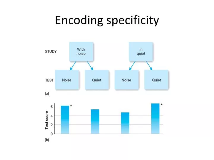 encoding specificity