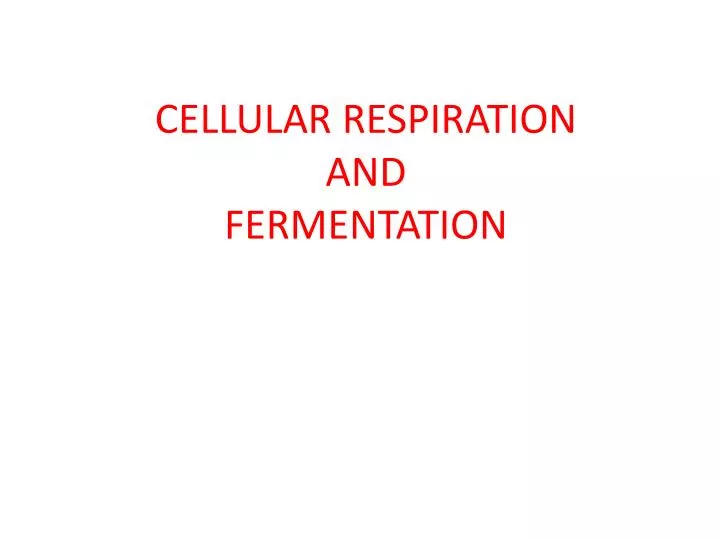 cellular respiration and fermentation