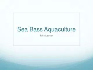 Sea Bass Aquaculture