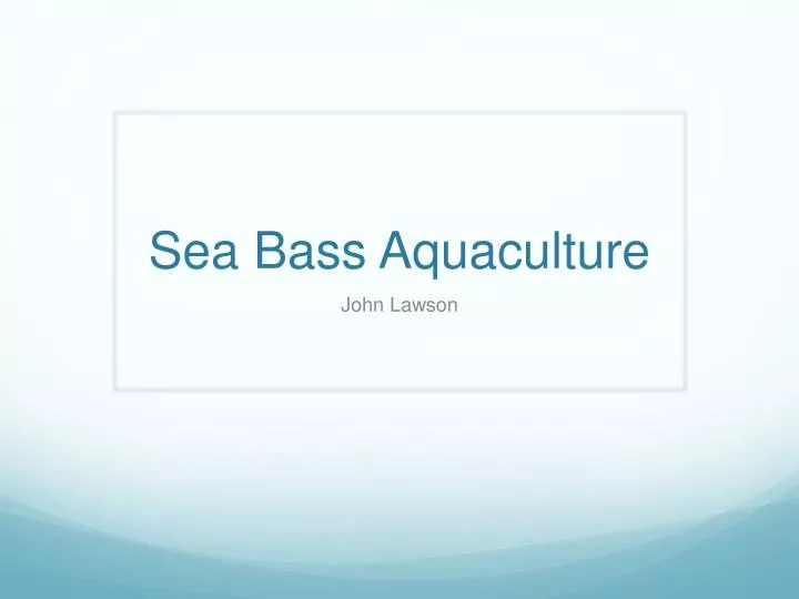 sea bass aquaculture