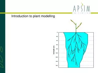 Introduction to plant modelling