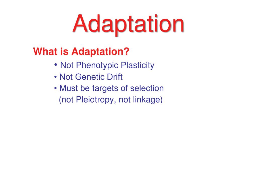 PPT - Adaptation PowerPoint Presentation, free download - ID:2527278