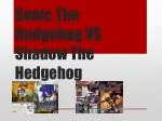 Sonic The Hedgehog VS Shadow The Hedgehog - slide 1