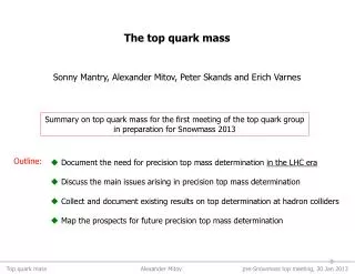 Summary on top quark mass for the first meeting of the top quark group