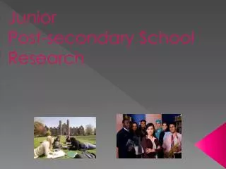Junior Post-secondary School Research