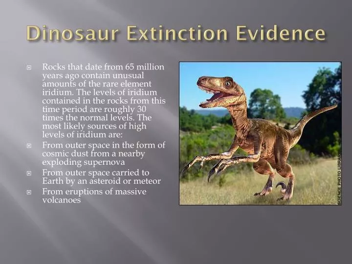 dinosaur extinction evidence