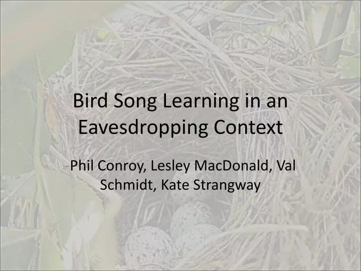 bird song learning in an eavesdropping context
