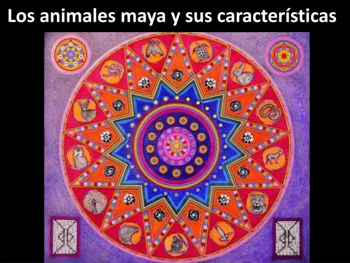 los animales maya y sus caracter sticas