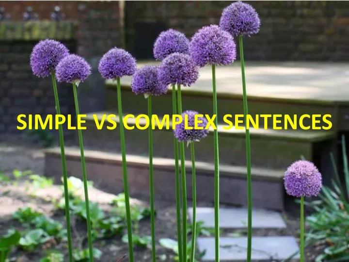 simple vs complex sentences