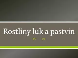 rostliny luk a pastvin