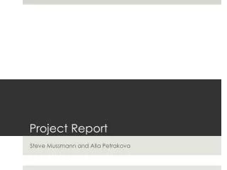 project report