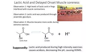 Lactic Acid and Delayed Onset Muscle soreness