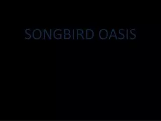 SONGBIRD OASIS