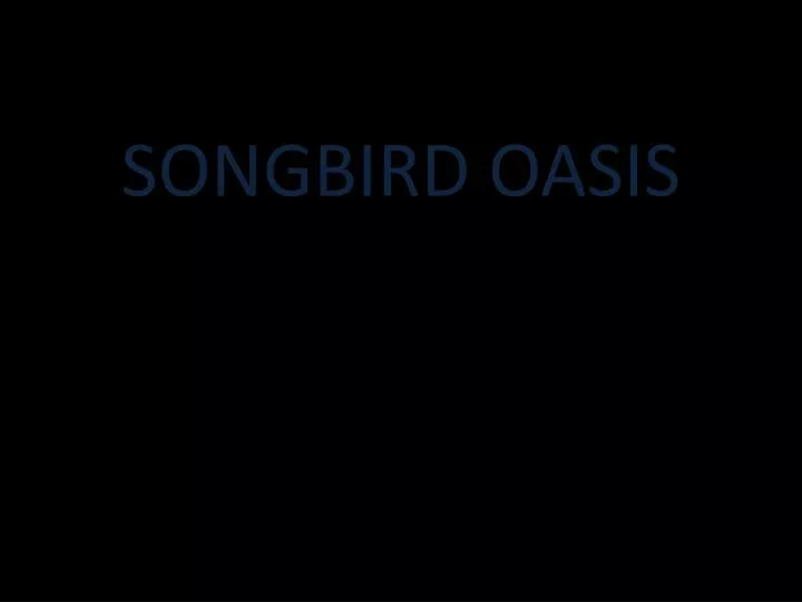 songbird oasis