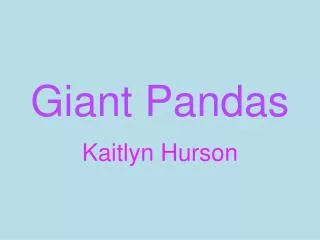 giant pandas
