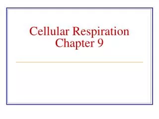 Cellular Respiration Chapter 9