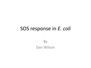SOS response in E. coli