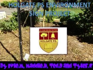 HOLGATE PS ENVIRONMENT SIGN PROJECT