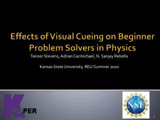 Effects of Visual Cueing on Beginner Problem Solvers in Physics