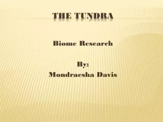 The Tundra