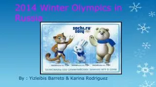 2014 Winter Olympics in Russia