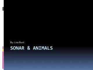 Sonar &amp; Animals