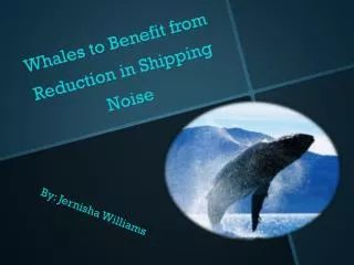 Whales to Benefit from Reduction in Shipping Noise
