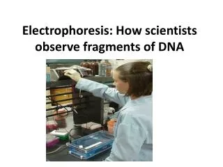 Electrophoresis: How scientists observe fragments of DNA