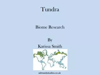 Tundra