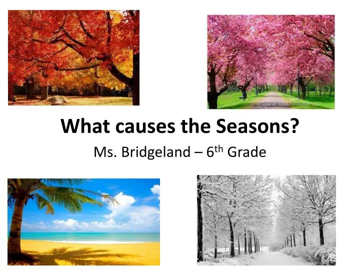 what causes the seasons