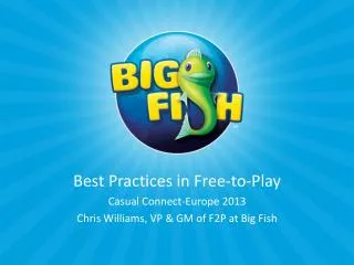 Best Practices in Free-to-Play Casual Connect-Europe 2013