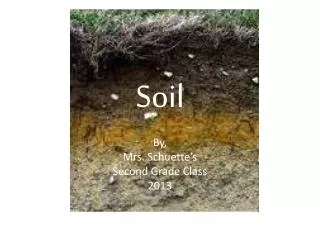 Soil