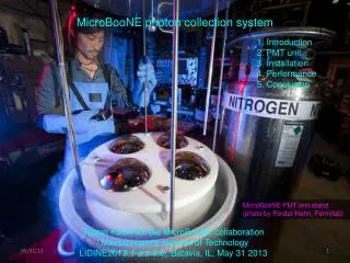 MicroBooNE photon collection system