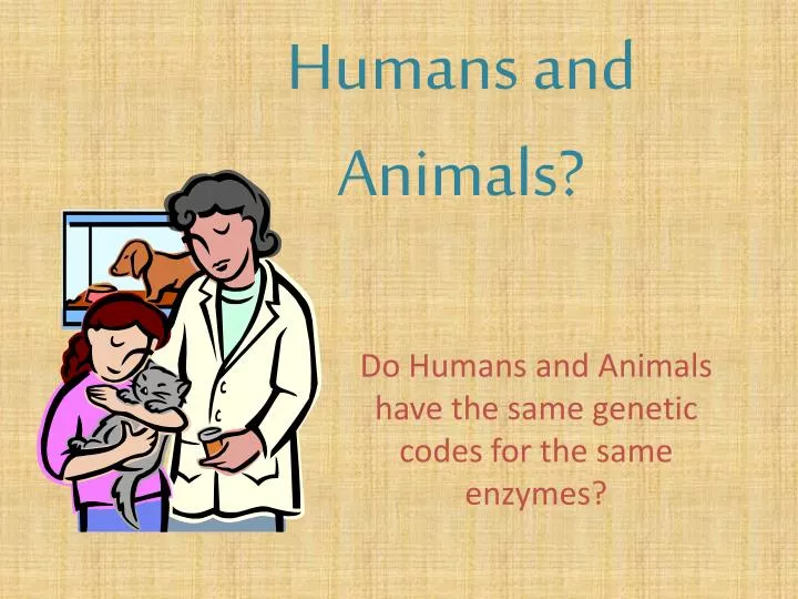 humans and animals