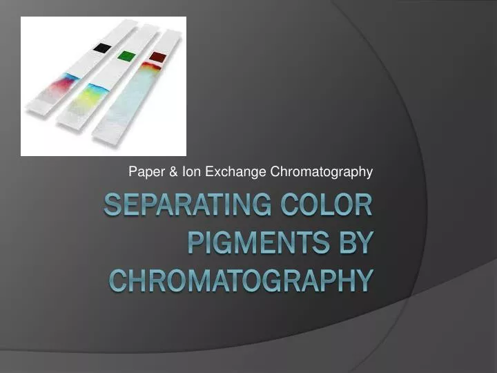 paper ion exchange chromatography