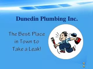 Dunedin Plumbing Inc.