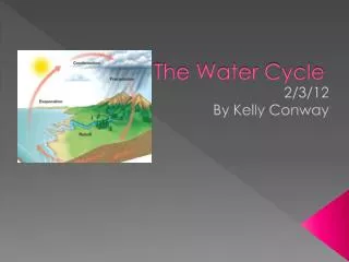 the water cycle