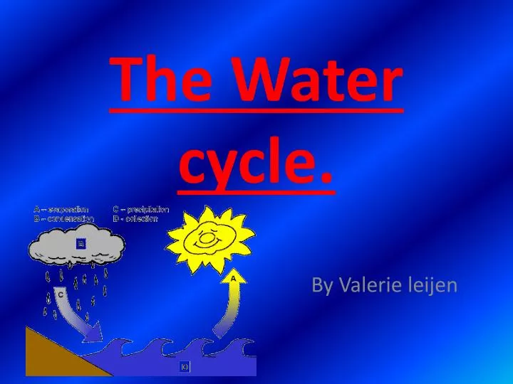 the water cycle