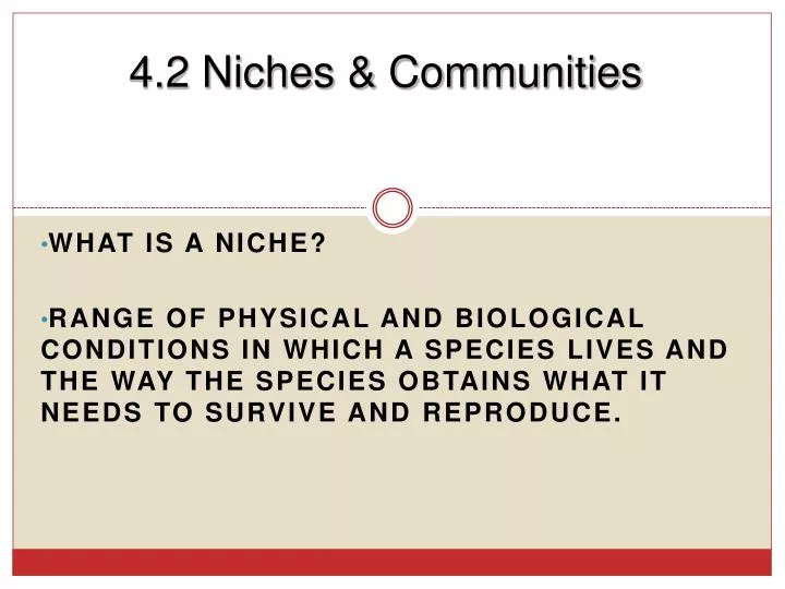 4 2 niches communities