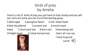 birds of prey by Amelia