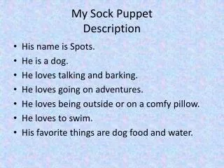 My Sock Puppet Description