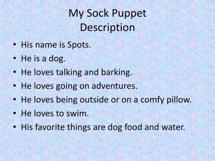 my sock puppet description