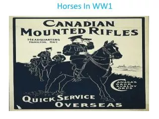 Horses In WW1